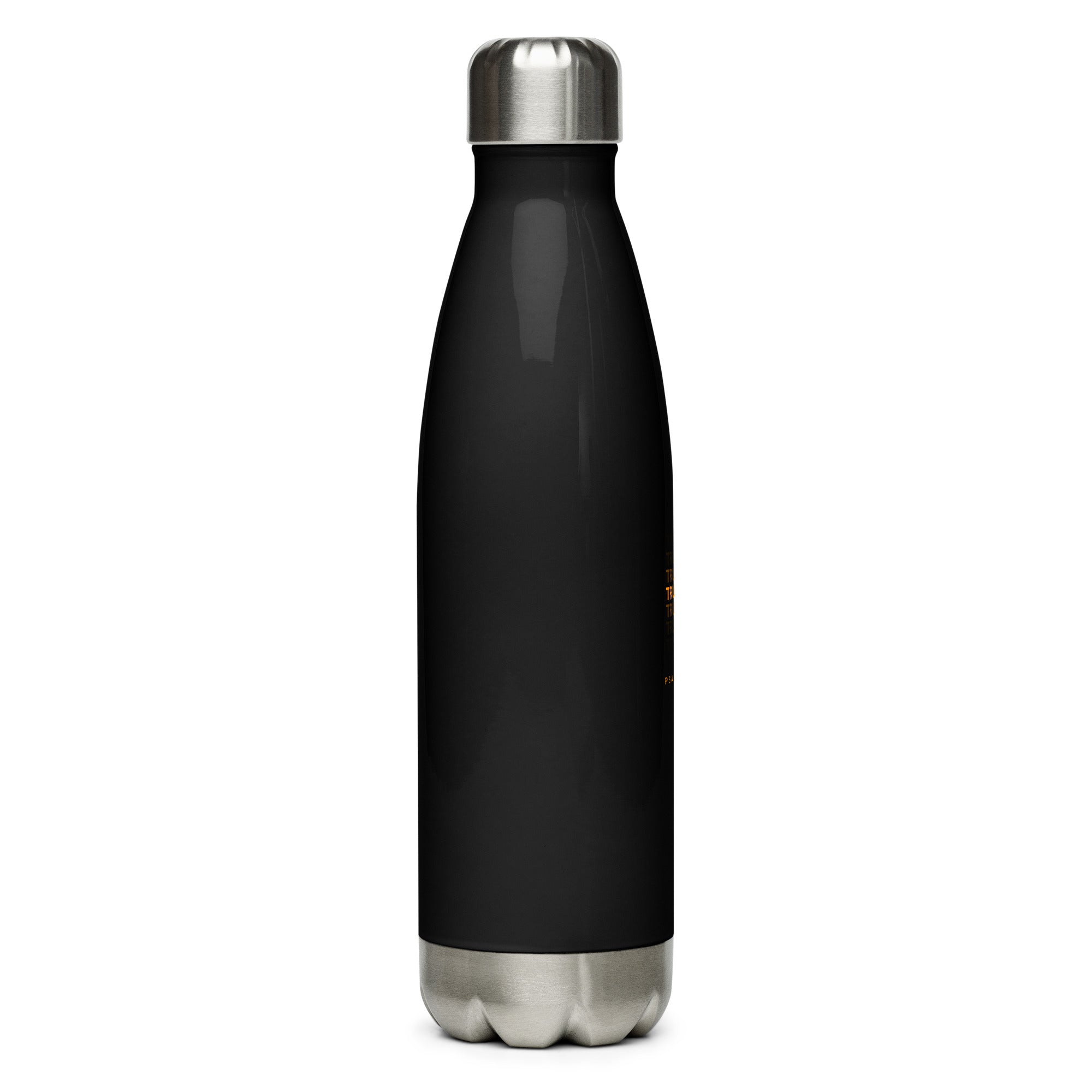Stainless steel water bottle - Psalm 56:3