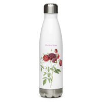 Stainless steel water bottle - the best Mom